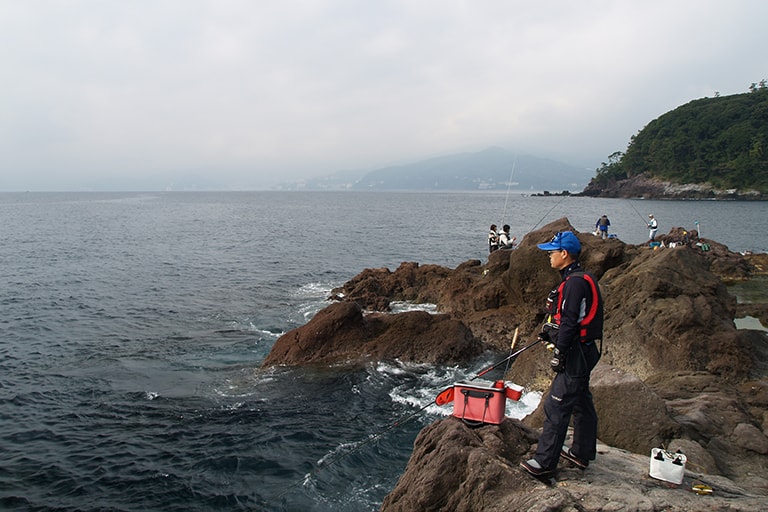 真鶴半島で特に人気が高いカワウソ。釣り人の収容力も高い