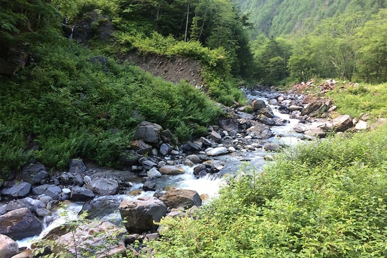 標高1,500m以上を流れる山岳渓流は、この時期でも長時間手を入れていられないほどに冷たい水が流れる