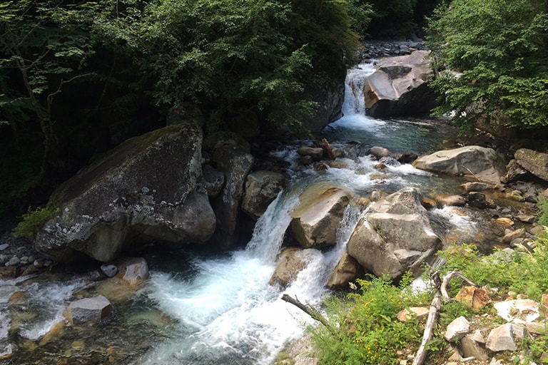 太田切川水系は、落差のあるダイナミックな渓相が見られる