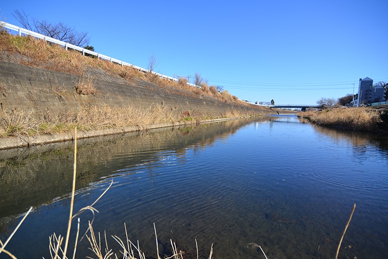 関戸橋周辺で合流する多摩川の支流。浅くて、フラットなプールがサイトフィッシングには適しています