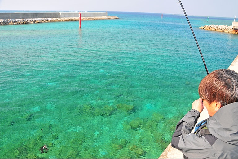 エメラルドグリーンに輝く海にアオリイカの墨が散る