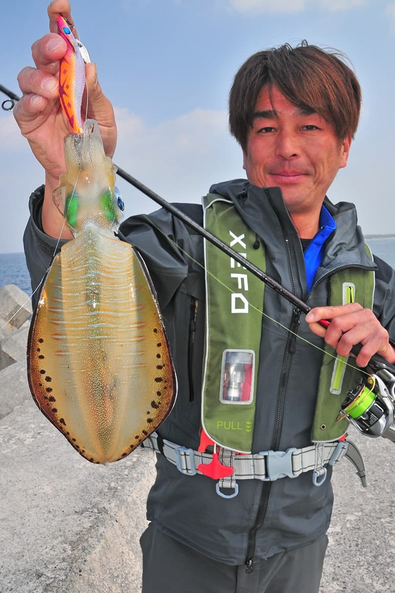 食べごろサイズのクワイカ