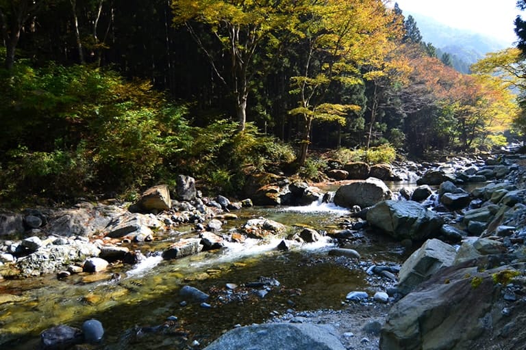 自然の流れを活かした釣り場が広がる