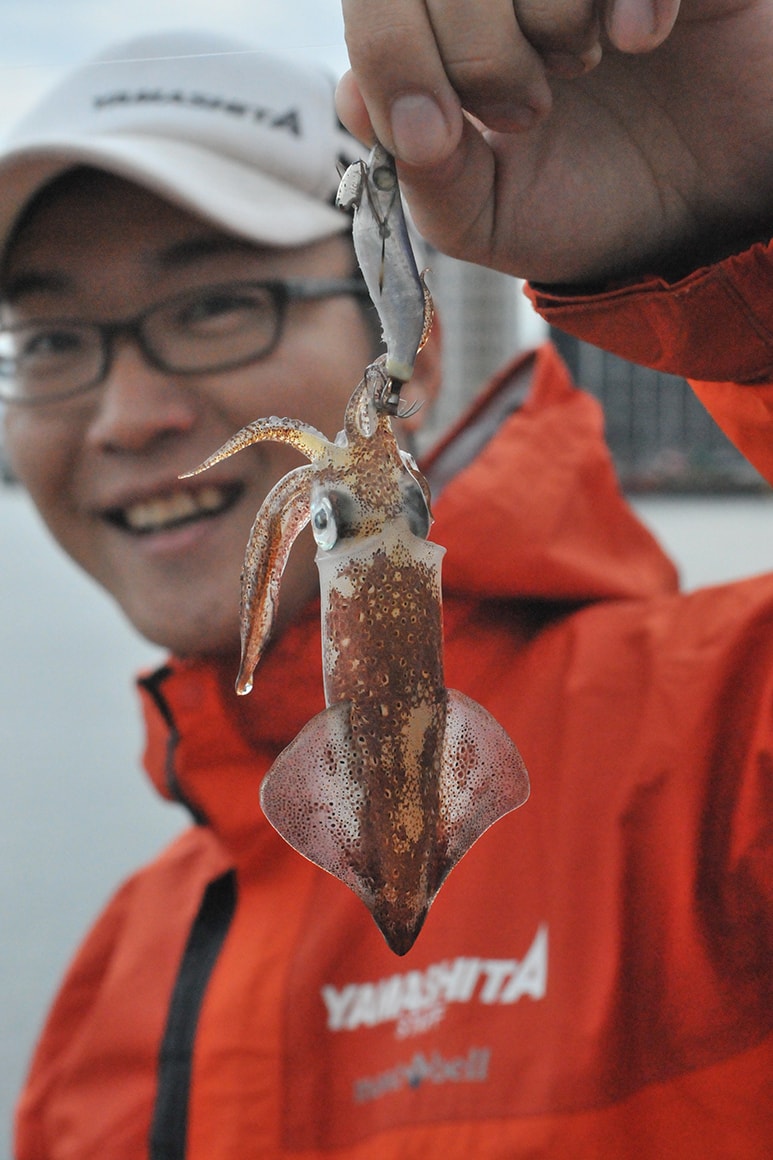 大きな湾ほど一度群れが入れば抜けにくい。つまり日中でも湾内に群れがいるので釣りが成立する。ラインや穂先の変化が見やすいため、むしろ夜よりも釣りやすい