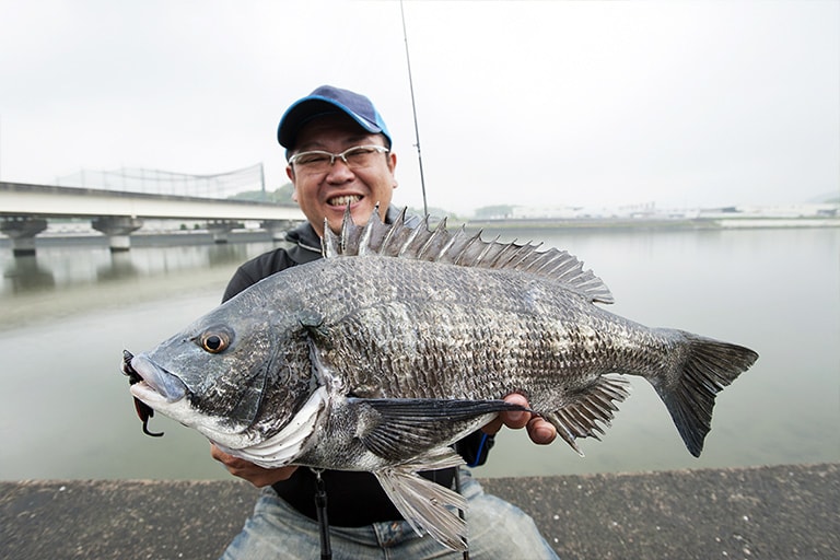 甲殻類を模したワームを使ったスローリトリーブで食わせた良型。水温が上がると、このサイズがルアーにチェイスするようすが何度も見えるから興奮する