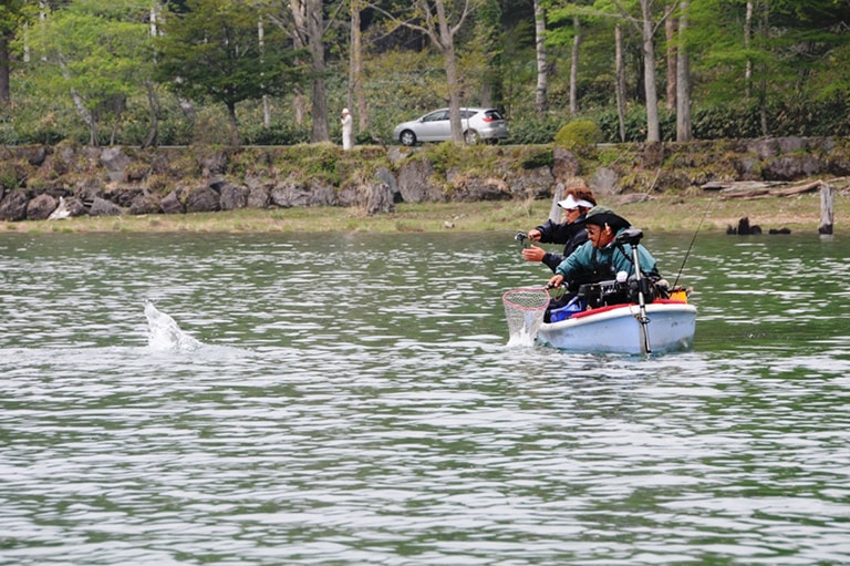 群馬県／丸沼のニジマス