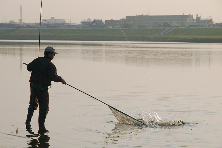 東京都・神奈川県／多摩川のコイ、ハゼ……etc