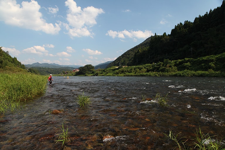 島根県／高津川のアユ