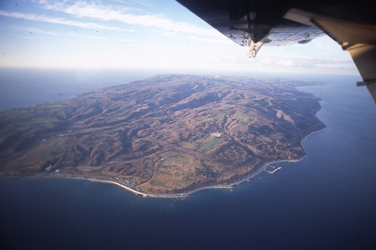 北海道／奥尻島のマダラ、ソイ、カジカ