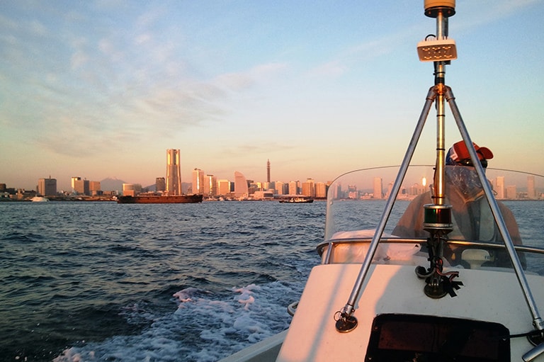 神奈川県／東京湾のイナダ