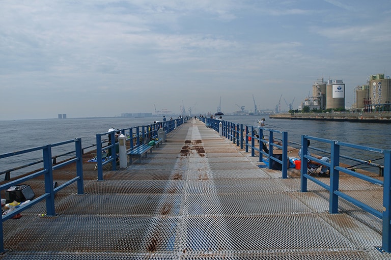 神奈川県／本牧海づり施設のキス五目釣り
