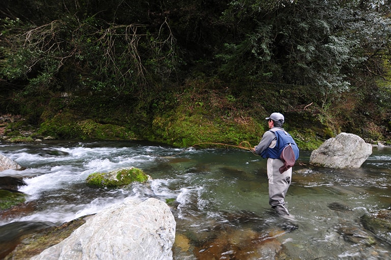 高知県／仁淀川支流・上八川川のアマゴ釣り