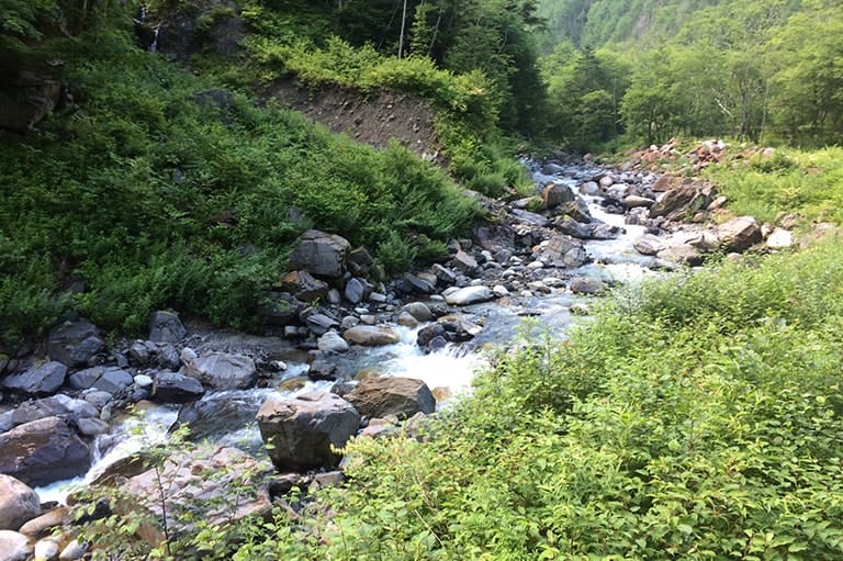 つり人社 編集長おすすめ 長野県 伊那市周辺 天竜川支流群のアマゴ イワナ おすすめの釣り場 Honda釣り倶楽部 Honda