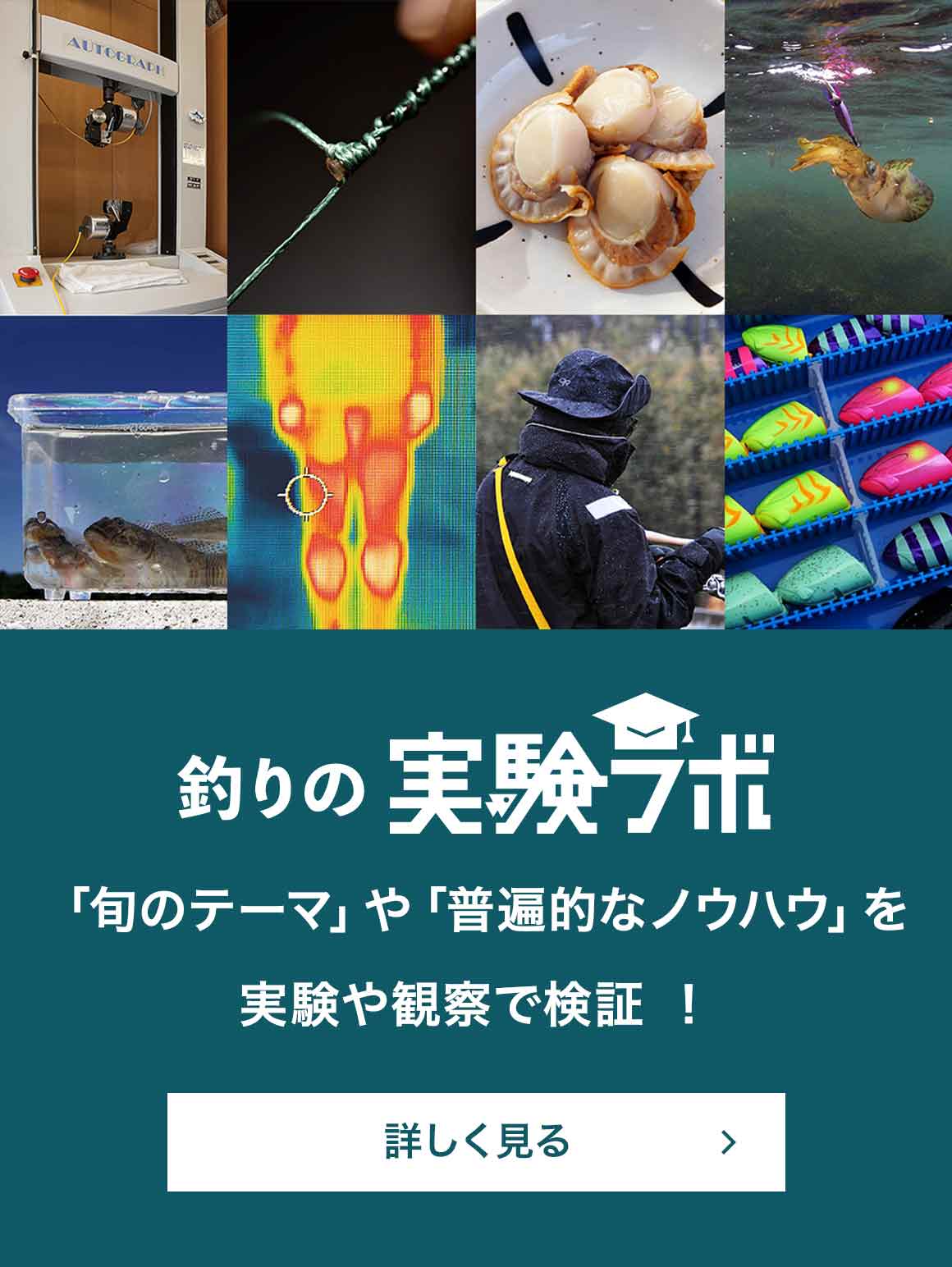 釣魚別の仕掛け 一覧 釣魚図鑑 特徴 仕掛け さばき方 Honda釣り倶楽部 Honda