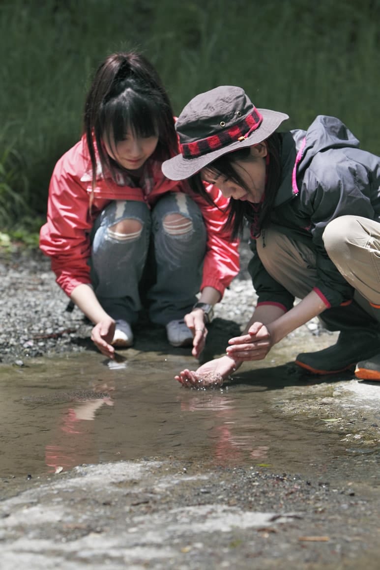 これなんだろう？　タピオカみたい