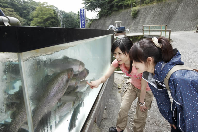 最初に出迎えてくれたのは水槽のなかのニジマスたち。で、でかい～っ！