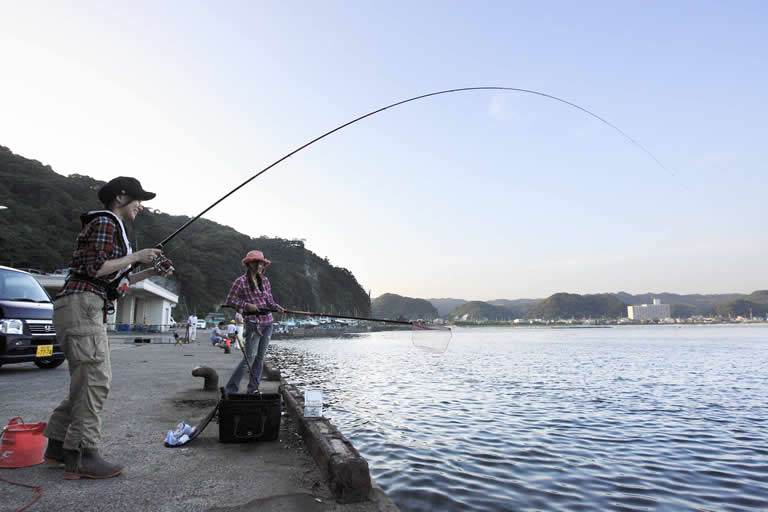 なにこれ!?走る魚が止められない～！