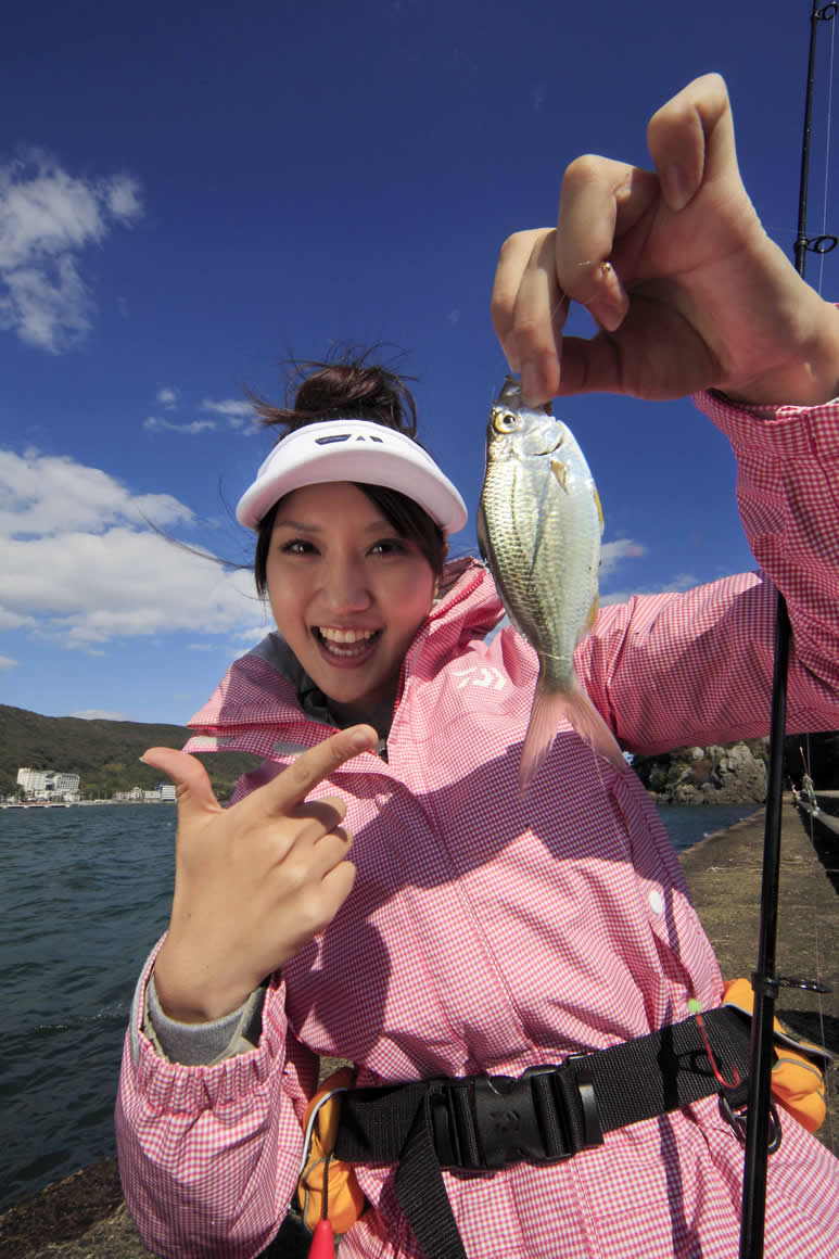 銀色のきれいな魚はクロサギでした。青い海からキラキラしながら上がってくるその姿のきれいなこと、きれいなこと