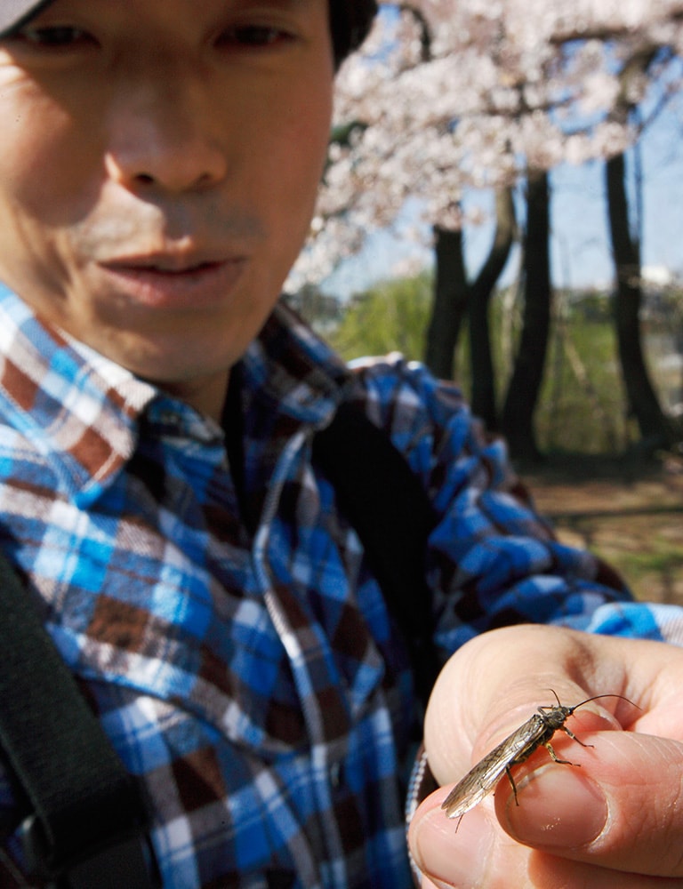 車を停めた近くで、八木さんがカワゲラの仲間を発見。このような虫がたくさんハッチしていれば、ヤマメもドライフライに反応してくれるはず