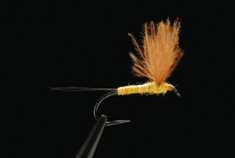 カモの尻にある浮力の高い羽毛（CDC）をマテリアルに使ったCDCダン