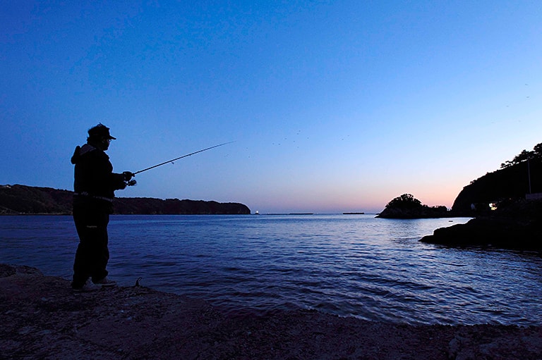 メバルのルアー釣り入門 メバルの生態 釣り方 釣り具解説 Honda釣り倶楽部 Honda