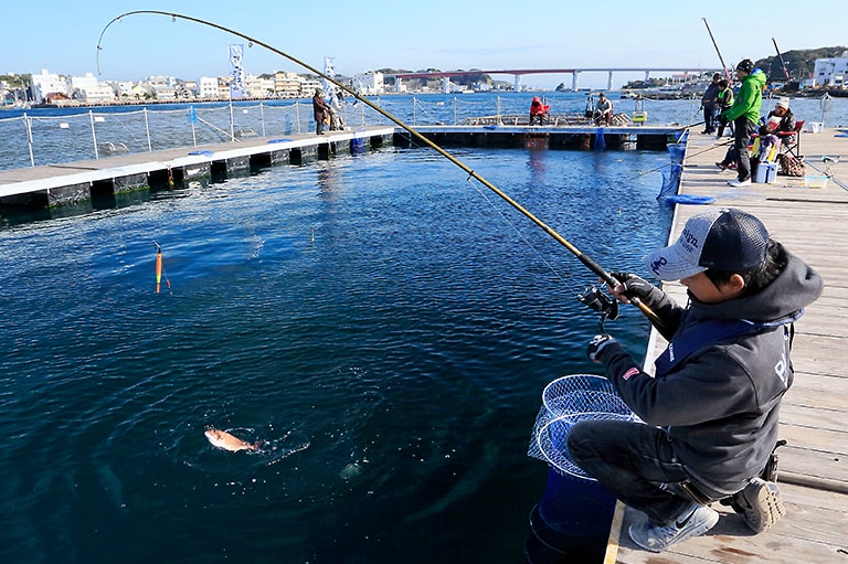 初めての 海上釣り掘 入門 海上釣り堀の魚の習性 釣り方 釣り具解説 Honda釣り倶楽部 Honda
