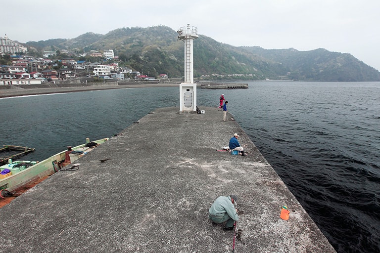 堤防の先端あたりがオススメ。港内は穏やかで釣りやすい反面、回遊魚などは少ない