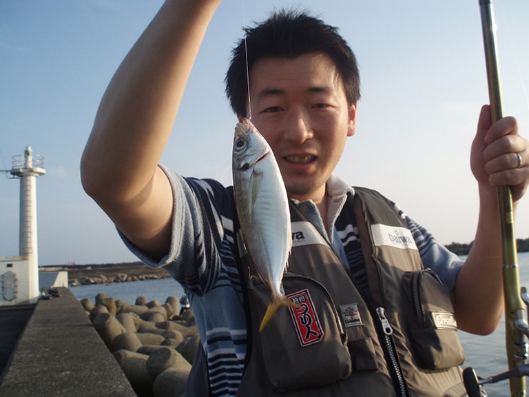 新鮮なマアジは刺身やタタキがおいしい