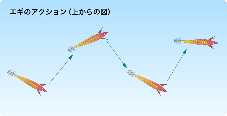 エギのアクション（上からの図）