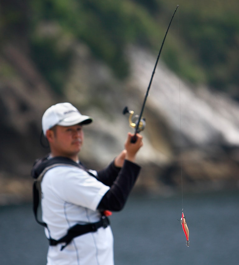アオリイカの乗っ込みをねらうエギング入門 エギングのテクニック 釣り方 釣り具解説 Honda釣り倶楽部 Honda