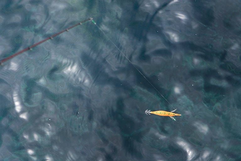アオリイカの乗っ込みをねらうエギング入門 エギングのテクニック 釣り方 釣り具解説 Honda釣り倶楽部 Honda