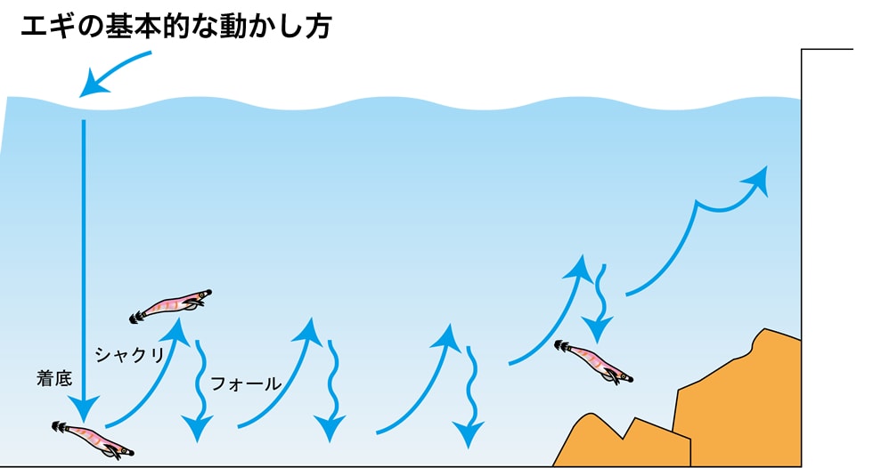 エギの基本的な動かし方