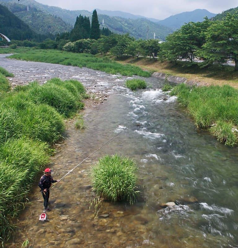 アユ釣りのおもなフィールドは河川の中流～上流域。水のきれいなエリアに多く生息している。ただし近年はほとんどのアユ釣り場で放流が行なわれており、天然遡上のアユがねらえる釣り場は少ない