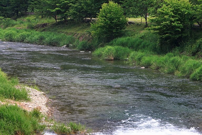 流れが穏やかな「トロ場」と呼ばれるポイント。オトリを弱らせにくいため、友釣り入門に向いている場所だ。後のページで解説する「泳がせ釣り」でオトリを自由に遊ばせてねらうといい