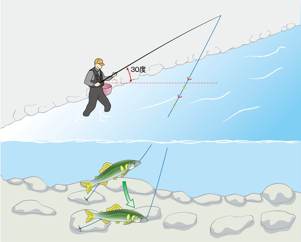 サオと水面の角度を30度程度にして、1箇所でしばらくオトリを泳がせる。川底まで沈んで元気に泳いでいるのがオトリの理想的な状態だ（泳がせ釣りの場合も同じ）。サオを寝かせると、オトリを底へ沈ませやすい。また、イトを張りすぎるとオトリが浮いてしまうが、緩めすぎると仕掛けが絡むなどトラブルの原因になる。ほどよい状態を保つのがポイントだ。この状態で5分以上アタリがなければ次のスポットへ。いったんオトリを引き上げて再度送り出してもいいし、サオでオトリを引いて別の場所に移動させてもいいだろう。