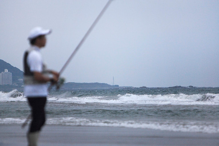 1年を通じて釣れるシロギスだが、9～10月ごろは近距離で数釣りが楽しめる