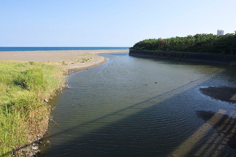 河口付近の海底には砂が堆積して地形の変化が生まれていることが多い。また、夏の高水温時には冷たい水を求めてキスが集まっていることも