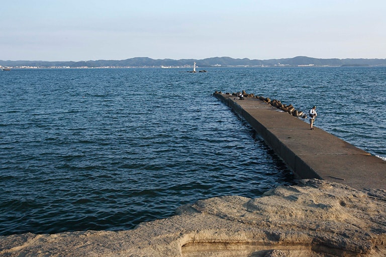 海底が砂地であれば堤防も好ポイントになる。遠投ができなくても沖めの水深をねらえるのがメリット