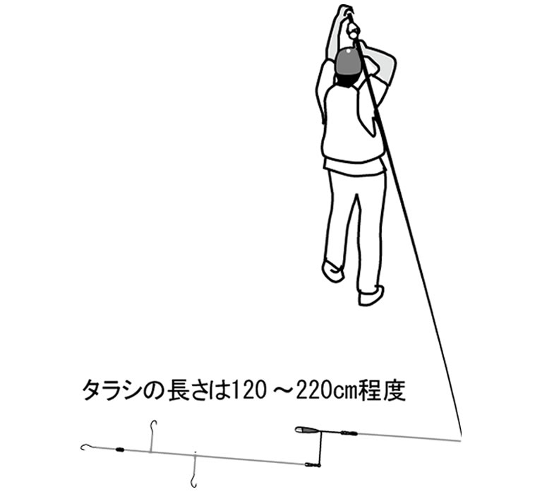 投げる前の仕掛けの置き方 投げる際に仕掛けが絡まないよう、図のように横向きに置く。ここからスイングに入れば、仕掛けはオモリ側から順番に引っぱられていく タラシの長さは120～220cm程度