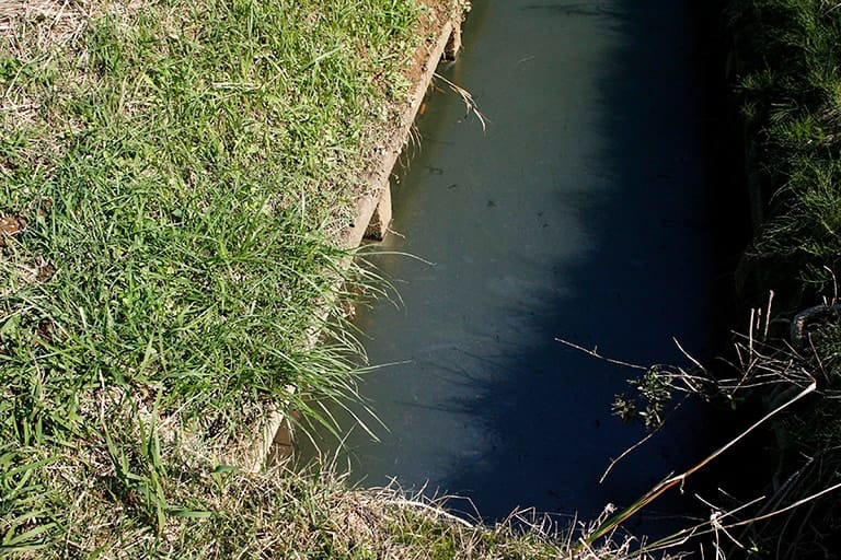 水がほとんど動かない場所は水質が悪化して溶存酸素量が減り、魚がいないことが多い。水面に油分が浮かんでいるようなエリアは基本的にパスしよう