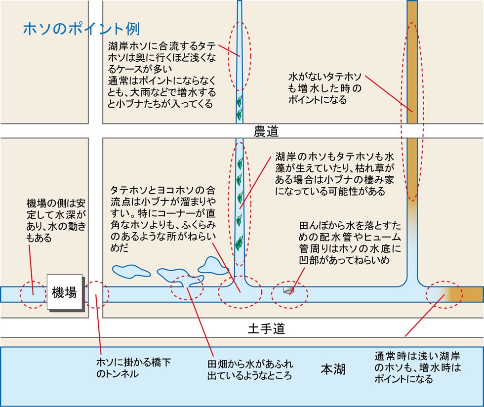 ホソのポイント例