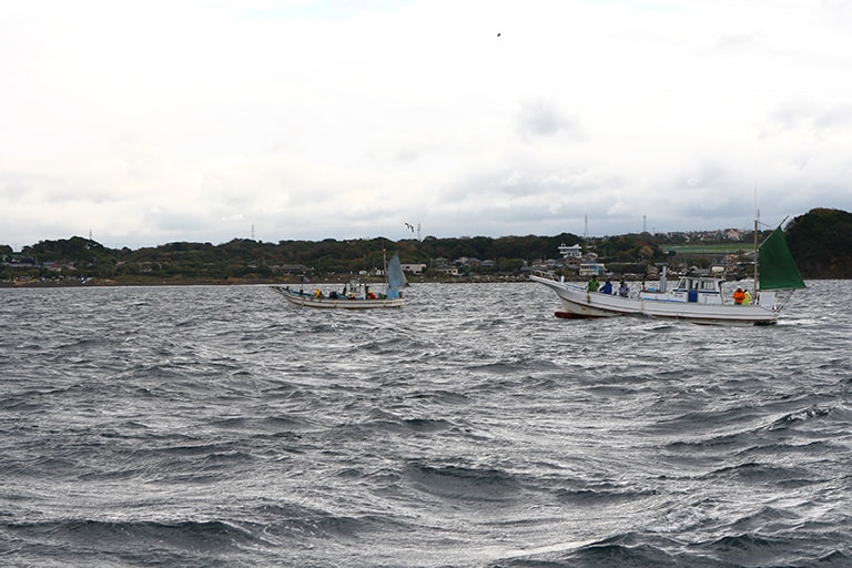 東京湾や相模湾など、関東周辺の釣り場では昔からカワハギ釣りの人気が高い。近年は全国的にカワハギファンが増えており、さまざまな釣り場でねらうことができるようになった