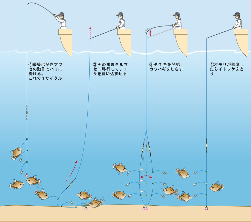 カワハギの沖釣り入門 カワハギの釣り方 基本編 釣り方 釣り具解説 Honda釣り倶楽部 Honda