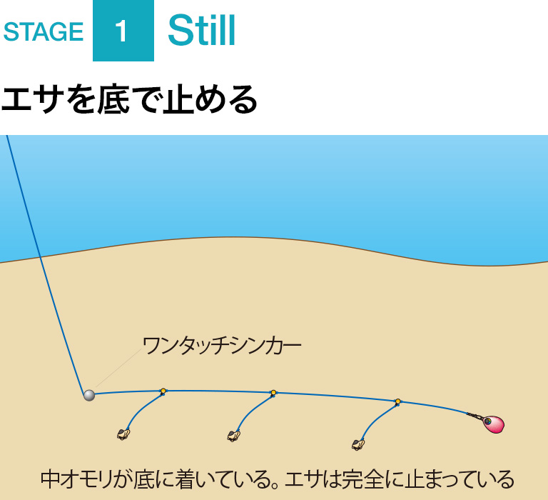 カワハギの沖釣り入門 ／カワハギの釣り方／中級編, 釣り方・釣り具解説, Honda釣り倶楽部