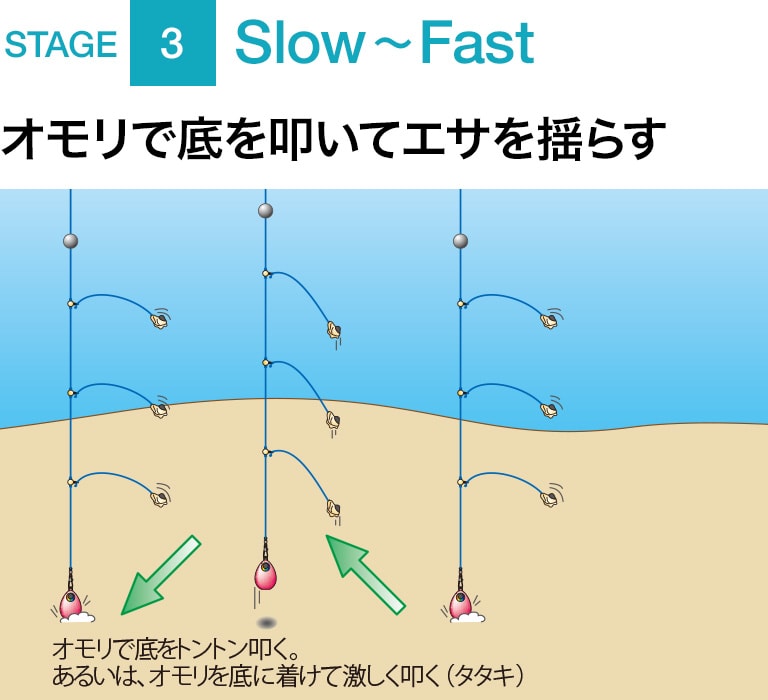 STAGE 3 Slow～Fast オモリで底を叩いてエサを揺らす