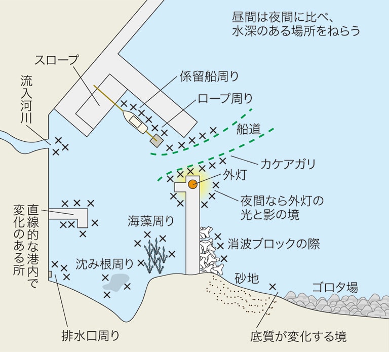 メバルのルアー釣り入門 漁港 堤防でのポイント 釣り方 釣り具解説 Honda釣り倶楽部 Honda