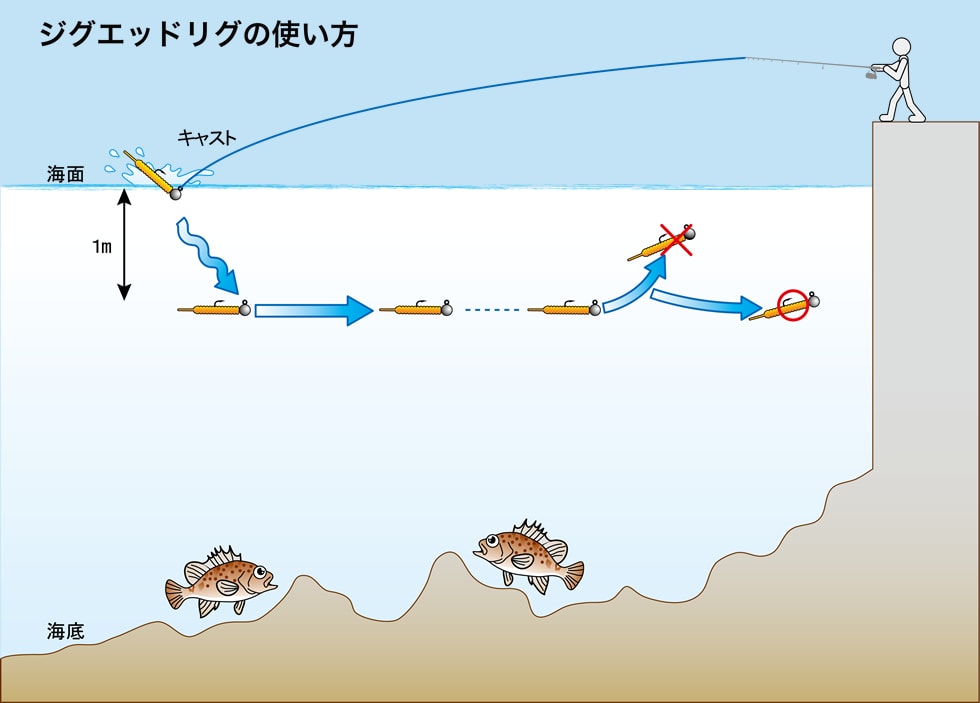 ジグヘッドリグの使い方