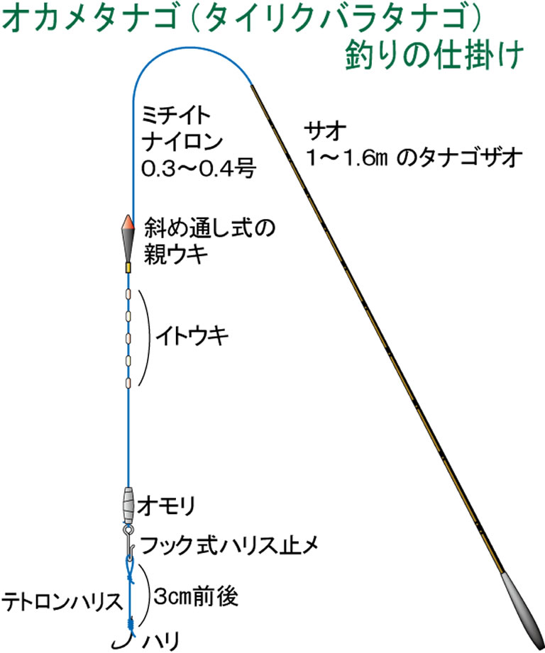 オカメタナゴ（タイリクバラタナゴ）釣りの仕掛け