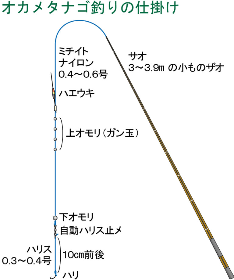 オオタナゴ釣りの仕掛け