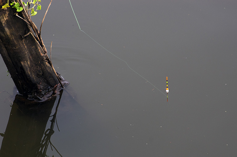 オオタナゴ釣り用ハエウキ仕掛けにはウキの一部が水面から顔を出す「トップバランス」と呼ぶ浮力調節が適している